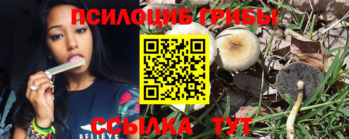 Псилоцибиновые грибы мицелий Северск