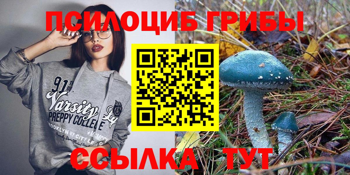 Северск  Галлюциногенные грибы мицелий  Вход с VPN  Галлюциногенные грибы Magic Shrooms 