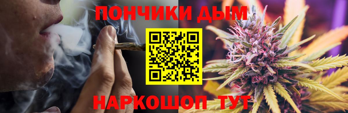 Бошки Шишки конопля Северск